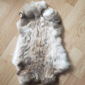 Real rabbit pelt